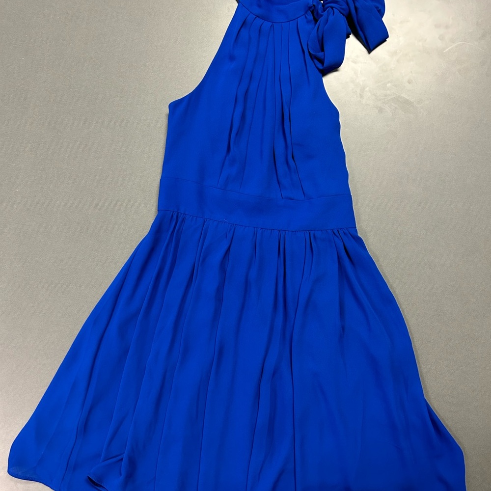 Express Blue Sleeveless Dress